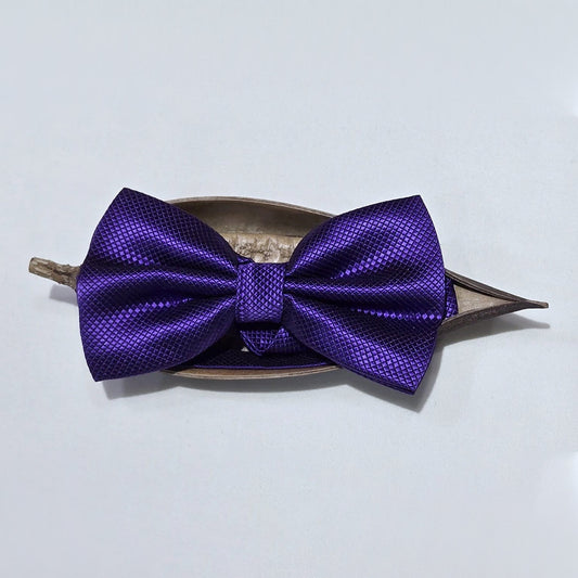 Plam Purple Bow Tie