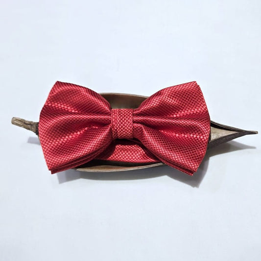 Party Red Bow Tie